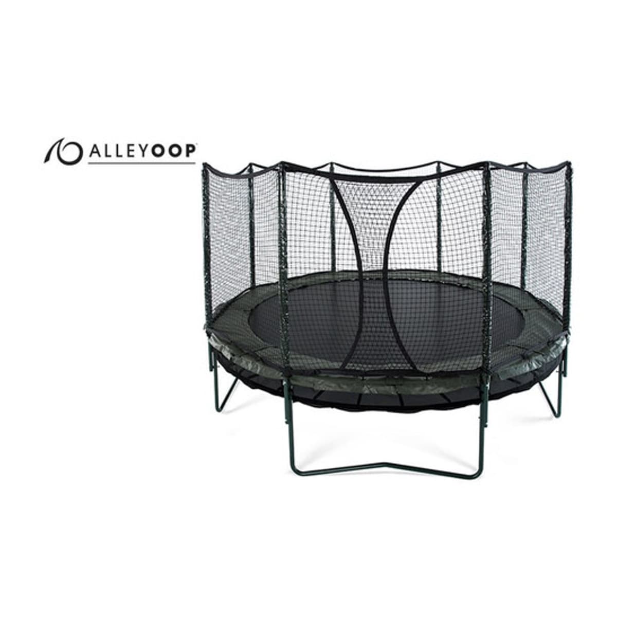 AlleyOOP DoubleBounce 14' Trampoline with Enclosure