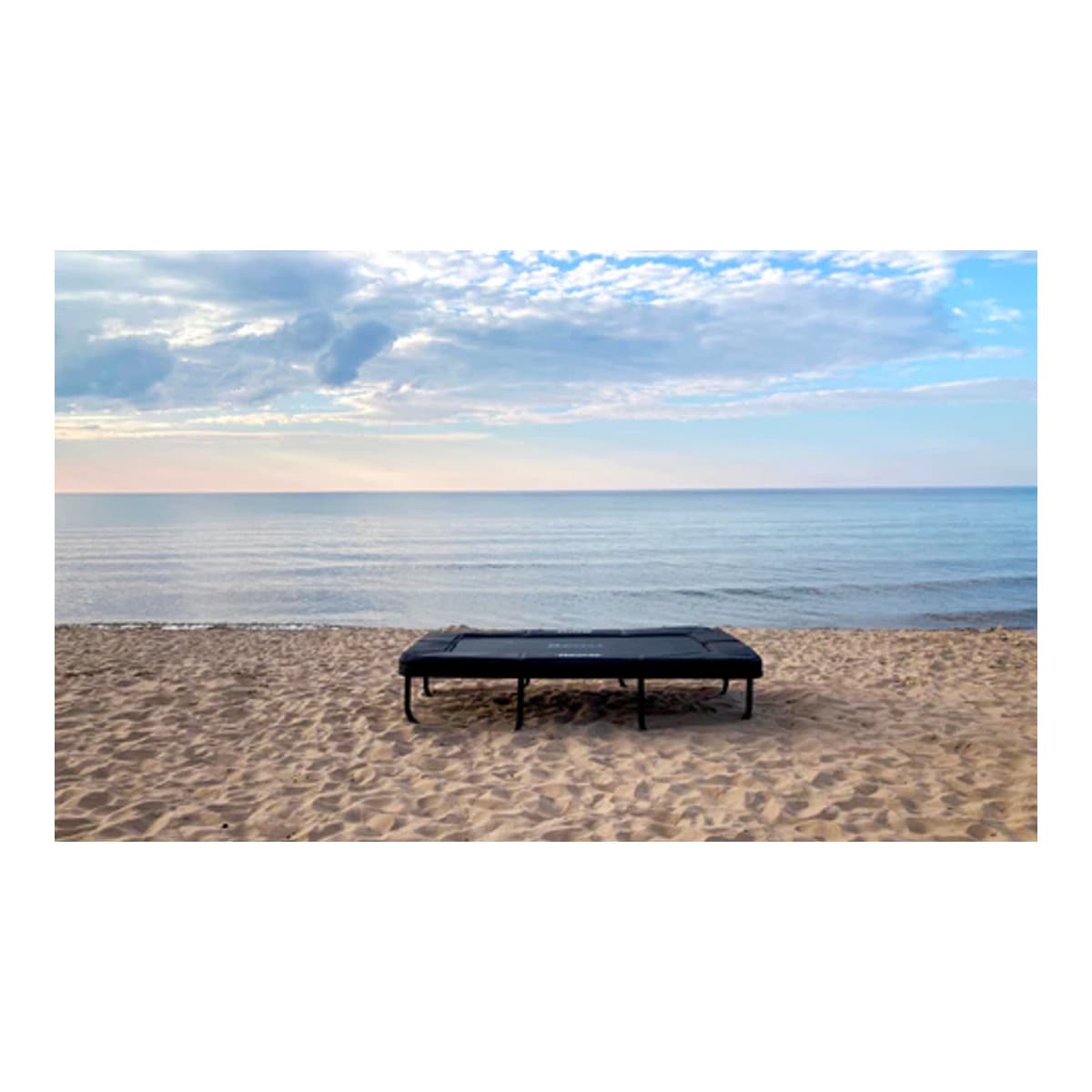 Beast 9x6 ft Mini Rectangle Trick Tramp